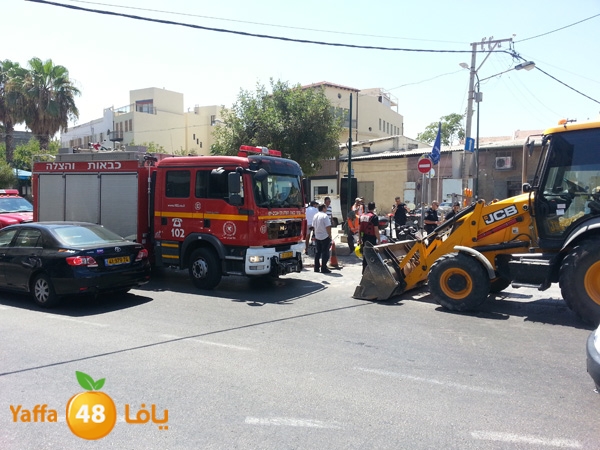 2 3amels 806 (2).jpg